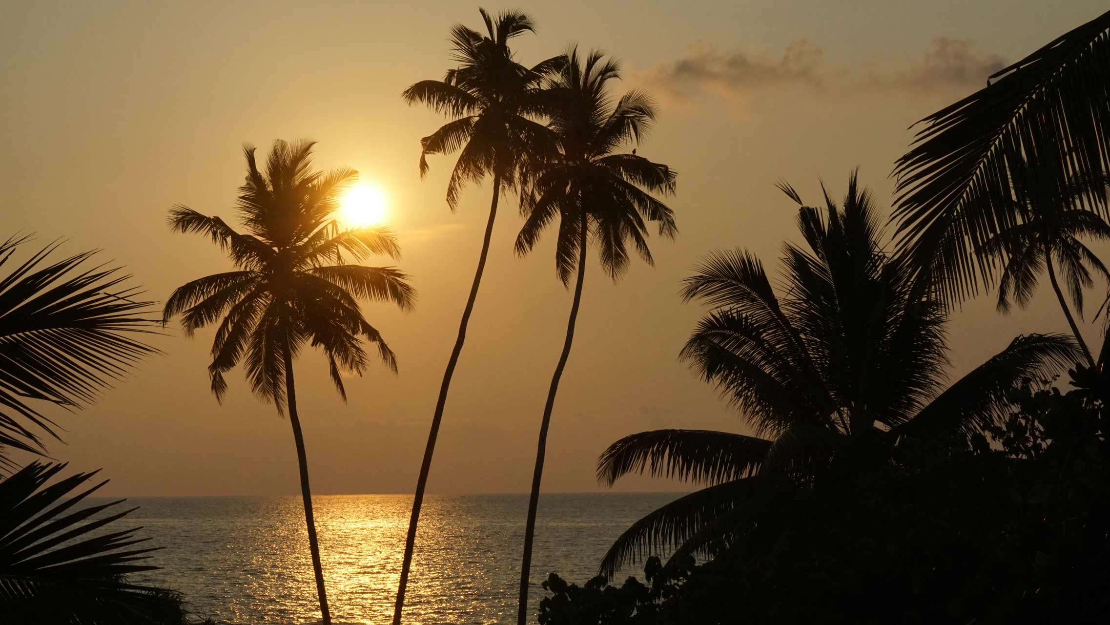 Ausblick auf den Sonnenuntergang von unserem Hotel in Bentota