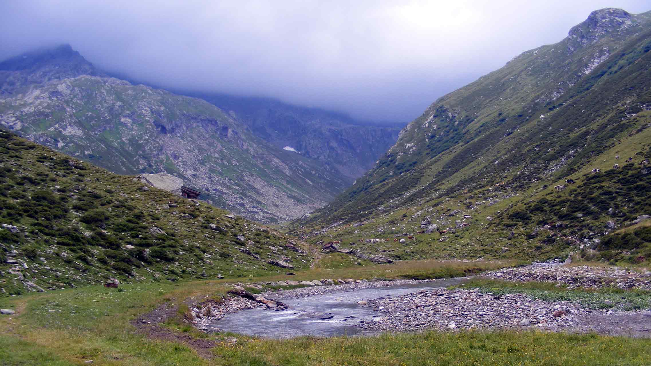 Wieder unten im schönen aber wolkenverhangenen Tal auf dem Weg nach Pfelders